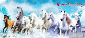 Tranh ngựa 8 con psd