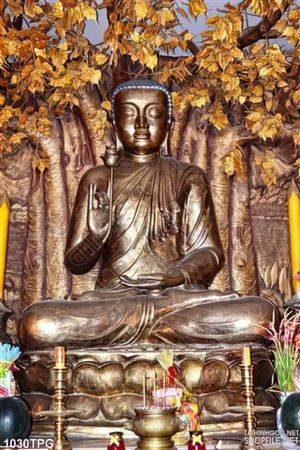 Tranh tượng Phật Tổ dưới cây Bồ Đề bằng đồng