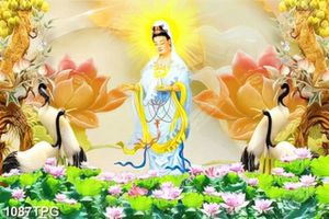Tranh Quan Âm Bồ Tát và hoa Sen