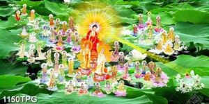 Tranh Tây Phương cực lạc thánh nền lá Sen