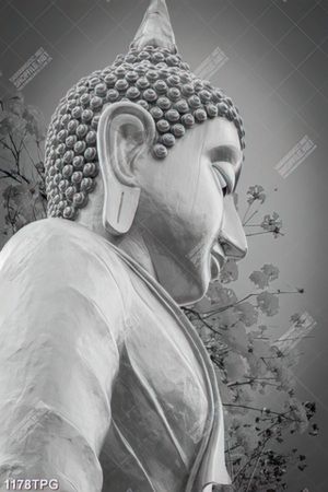Tranh tươợng Phật Thích Ca bằng vàng và trên núi