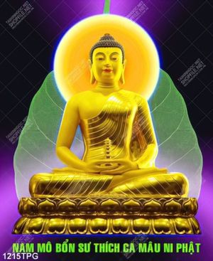 Tranh Nam Mô Bổn Thích Ca Ni Phật