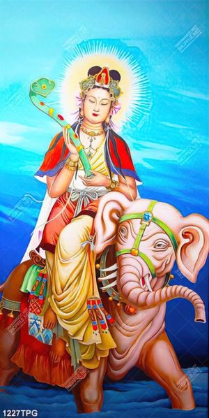 Tranh Phổ hiền Bồ Tát chất lượng cao