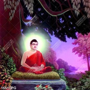 Tranh Phật Thích Ca tu hành