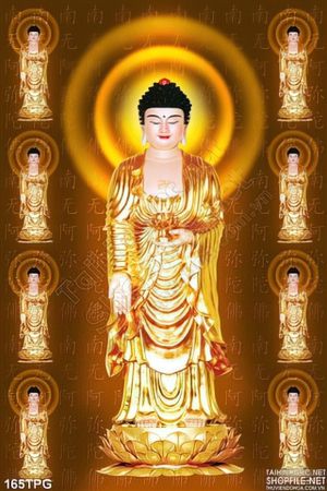 Tranh Tượng Phật bằng vàng