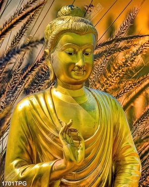 Tranh tượng Phật A Di Đà nền bông lau
