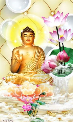 Tranh Phật và hoa Sen nền 3D