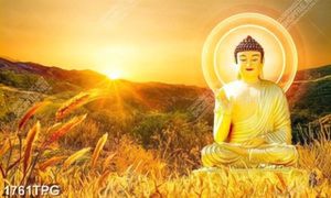 Tranh Phật A Di Đà trên núi siêu nét