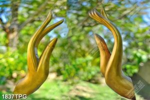 Tranh bàn tay Phật đẹp