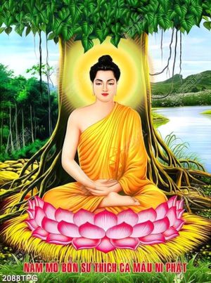 Tranh sơn dầu Nam Mô Bổn Thích Ca Ni Phật