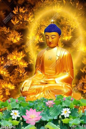 Tranh Phật và Sen chất lượng cao