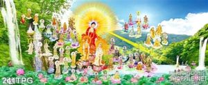 Tranh phật giáo tổng hợp