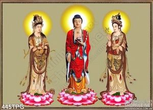 Tranh các tượng Phật treo tường