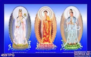 Tranh các tượng Phật