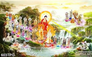 Tranh phật giáo treo tường