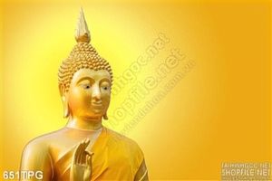 Tranh tượng Phật Tổ bằng vàng