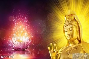 Tranh Phật Quan Âm và hoa sen