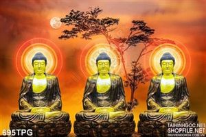 Tranh tượng Phật 3D đẹp
