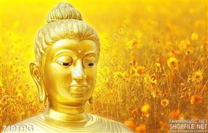 Tranh Đức Phật trên nền vàng