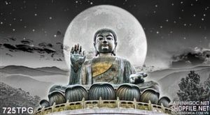 Tranh tượng Phật Thiên Tâm