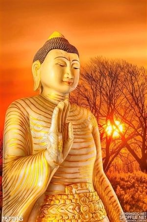 Tranh tượng Đức Phật