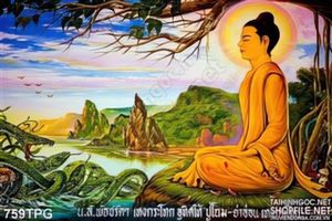 Tranh Phật Thích Ca Mâu Ni đẹp nhất