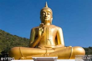 Tranh Phật Giáo treo tường