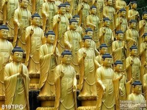 Tranh các tượng  Phật