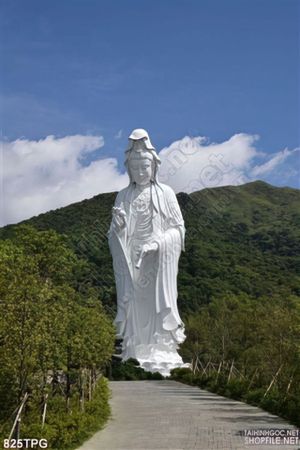 Tranh dán tường hình Phật