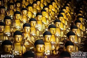 Tranh Phật Giáo trang trí tường độc đáo