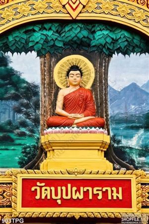 Tranh tượng Phật dưới cây Bồ Đề