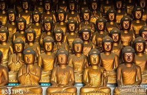 Tranh tượng các vị Phật