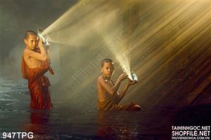 Tranh Phật dán tường lớn