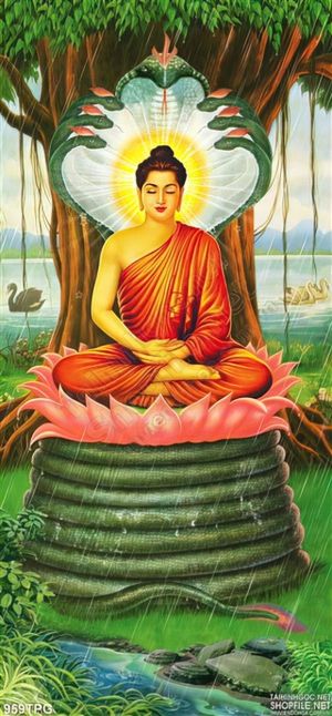 Tranh Thích Ca Mâu Ni Niết Bàn