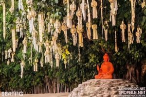 Phật và cây Bồ Đề