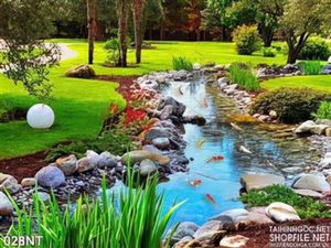 Tranh suối nước cá chép