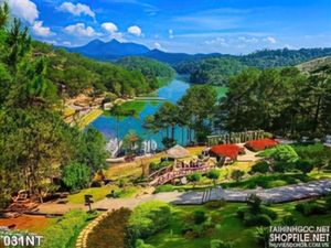 Tranh thung lũng tình yêu ở Đà Lạt