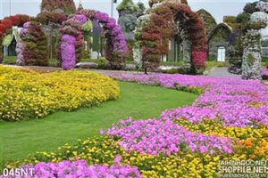 Tranh cánh đồng hoa trong công viên
