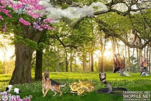 Tranh phong cảnh rừng và các con thú