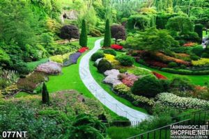 Tranh phong cảnh trong công viên