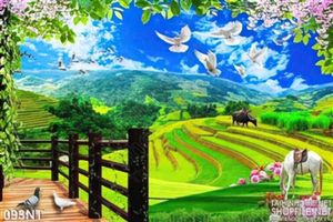 Tranh phong cảnh ruộng bậc thang Tây Bắc