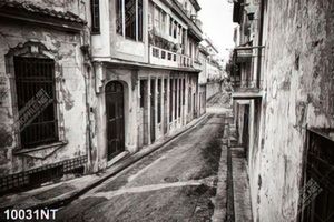 Tranh khu nhà cũ