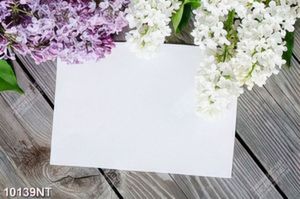 Tranh cành hoa bên trang giấy trắng 