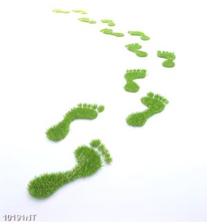 Tranh những bước chân cỏ xanh