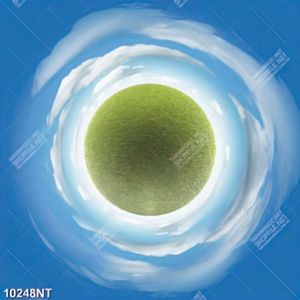 Tranh nghệ thuật quả cầu xanh 10248NT