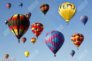 Tranh khinh khí cầu bay trên bầu trời