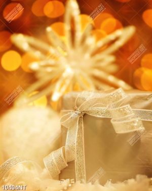 Tranh noel 10404NT