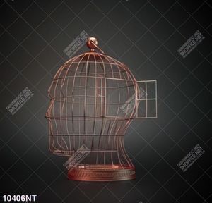 Tranh chiếc lồng nghệ thuật