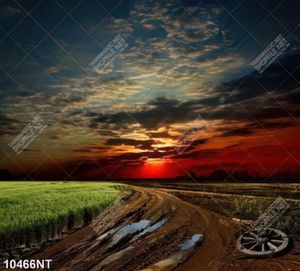 Tranh con đường và bầu trời 10466NT