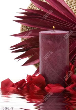 Tranh cánh hoa hồng và ngọn nến 